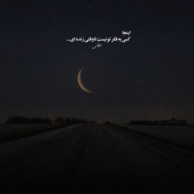 هیچکس و زد بازی سلمونی نرو با ما بد باش فقط